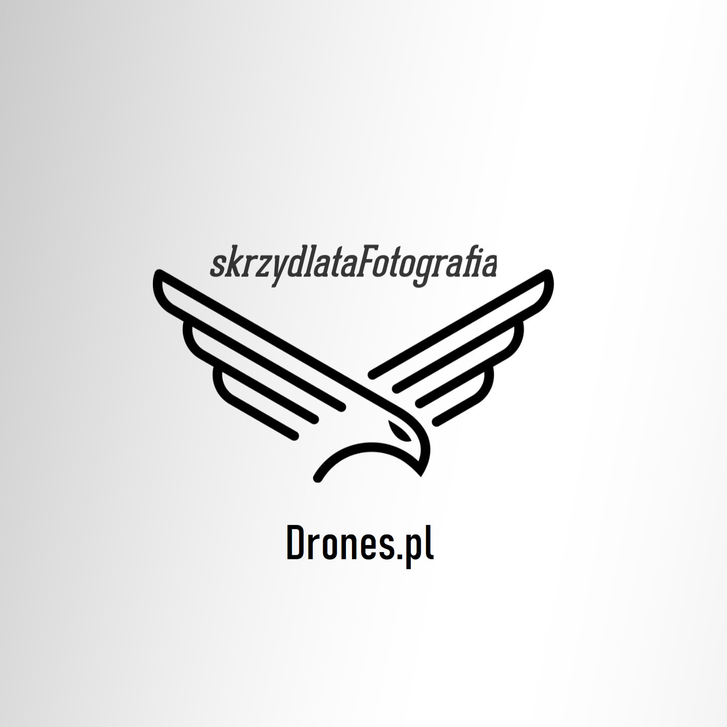 drones.pl