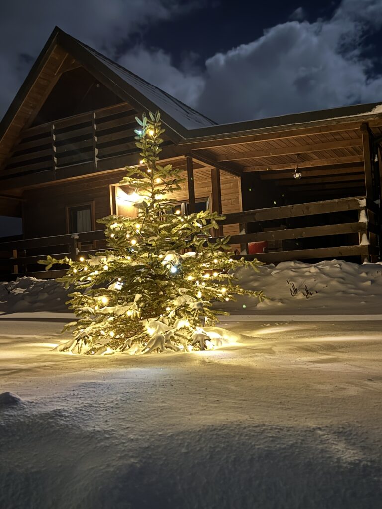 Gołąbek 1 - galeria