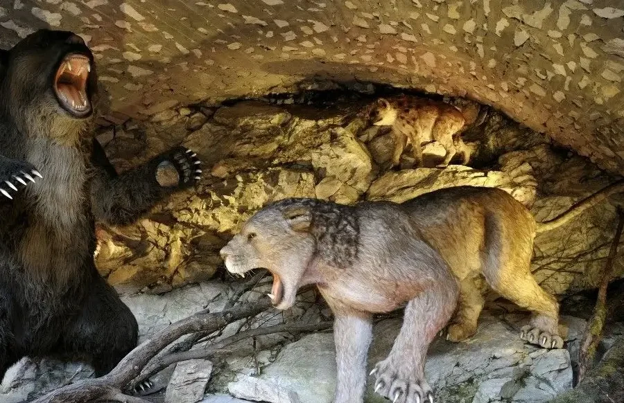 Jaskinia Niedźwiedzia