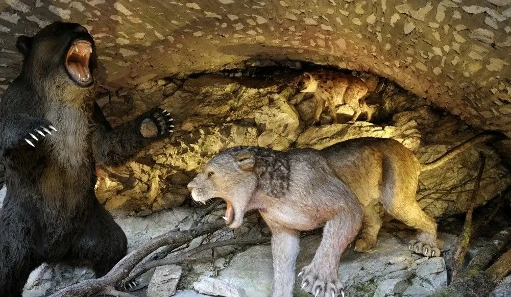 Jaskinia Niedźwiedzia